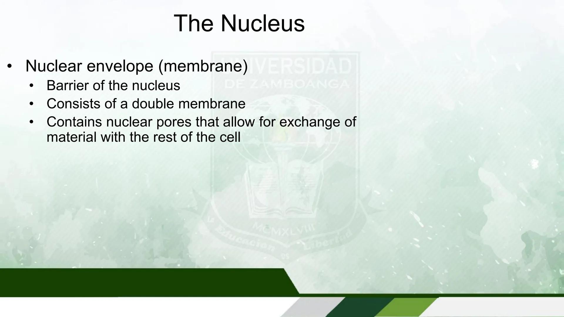 UNIVERSIDAD DE ZAMBOANGA
School of Allied Medicine
Department of Medical Technology
Human Anatomy and Physiology
With Pathophysiology
Cells 