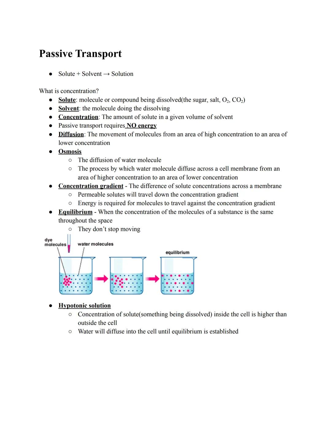 Passive Transport
What is concentration?
• Solute: molecule or compound being dissolved(the sugar, salt, O₂, CO₂)
● Solvent: the molecule do