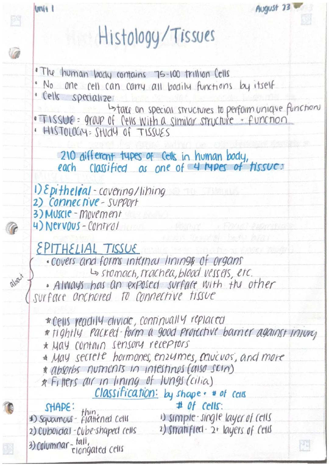 about
unit i
Hic Histology/Tissues
•The
human body contains 75-100 trillion Cells
No one cell can carry all bodily functions by itself
Cells