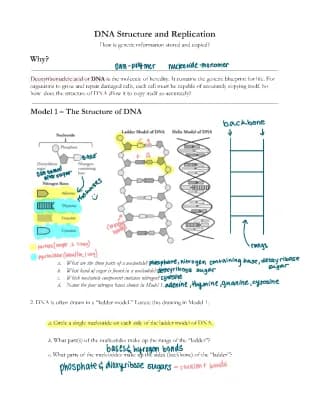 Know DNA Structure thumbnail