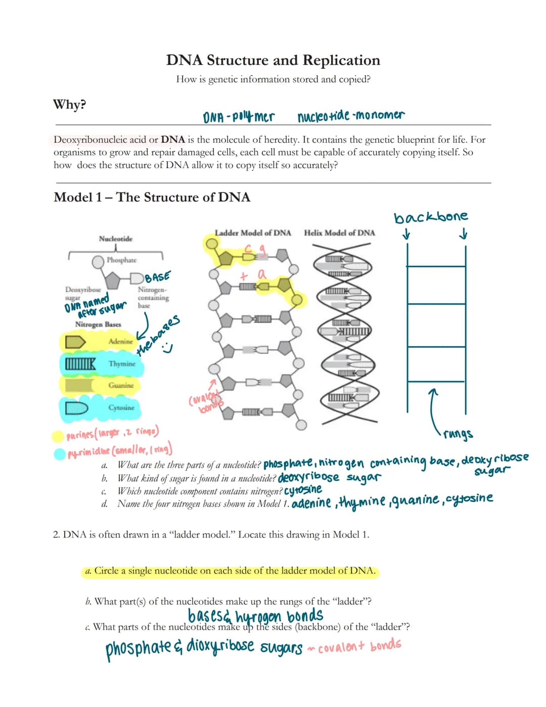 Why?
ONA-polymer
nucleotide-monomer
Deoxyribonucleic acid or DNA is the molecule of heredity. It contains the genetic blueprint for life. Fo