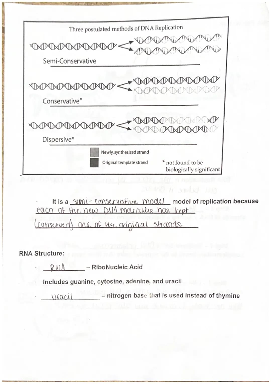 
<p>DNA, also known as Deoxyribo Nucleic Acid, is composed of subunits called nucleotides. There are three parts of nucleotides - purine bas