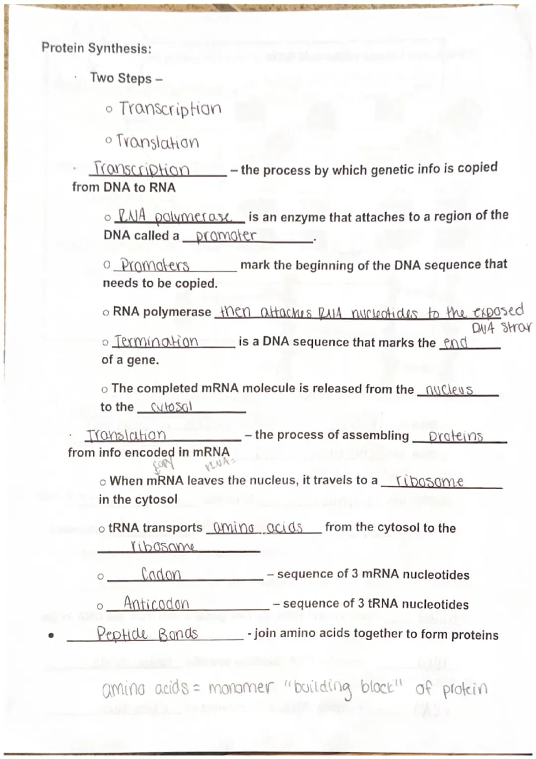 
<p>DNA, also known as Deoxyribo Nucleic Acid, is composed of subunits called nucleotides. There are three parts of nucleotides - purine bas