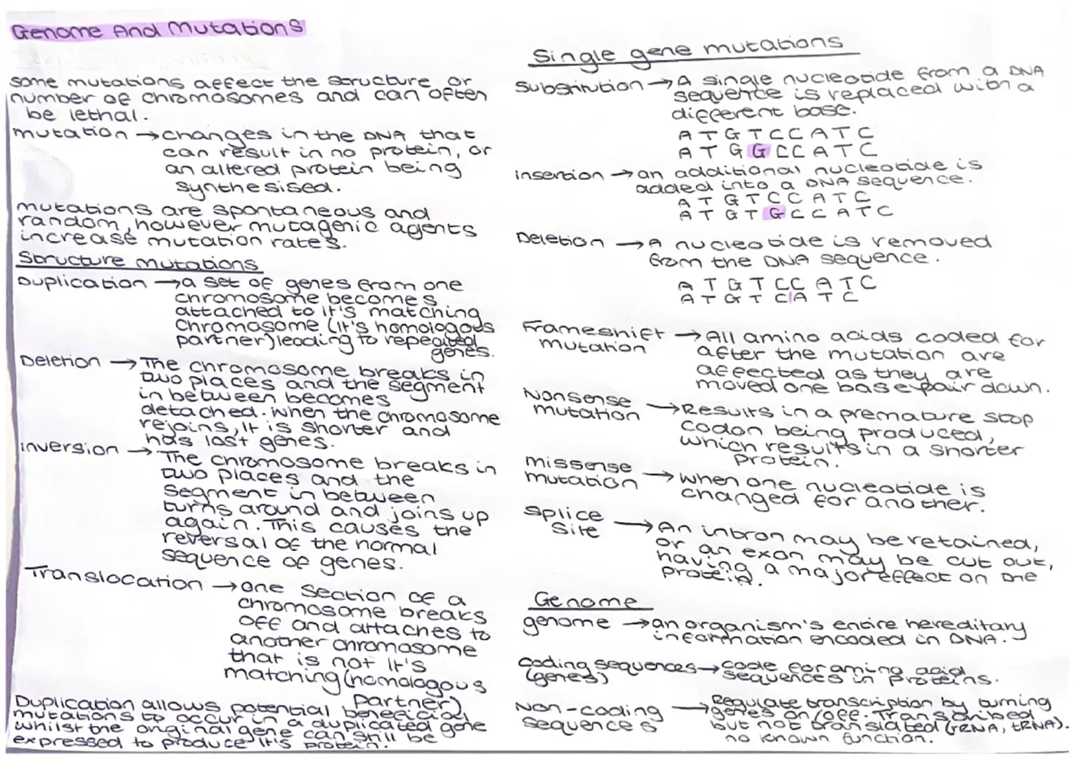 
<p>The structure of DNA consists of nucleotides, each comprising a phosphate, deoxyribose sugar, and a base. These base pairs are held toge