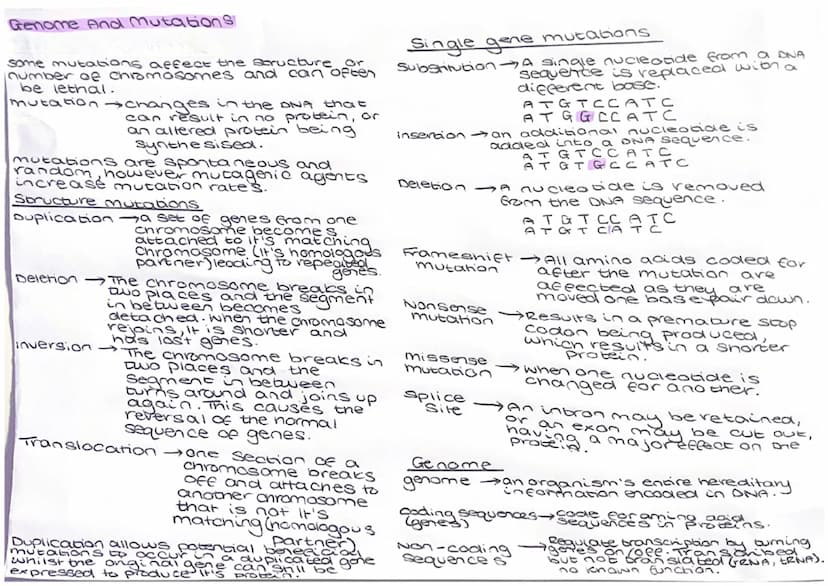 
<p>The structure of DNA consists of nucleotides, each comprising a phosphate, deoxyribose sugar, and a base. These base pairs are held toge