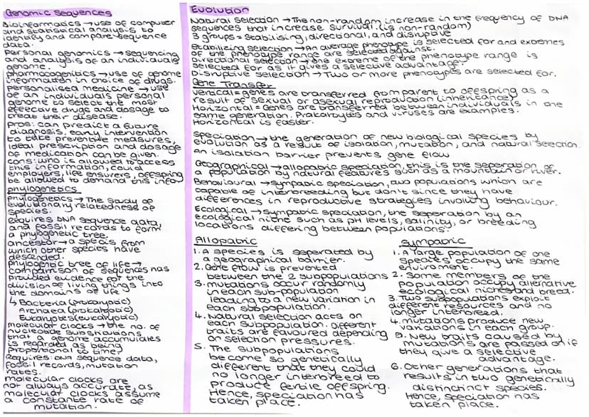 
<p>The structure of DNA consists of nucleotides, each comprising a phosphate, deoxyribose sugar, and a base. These base pairs are held toge