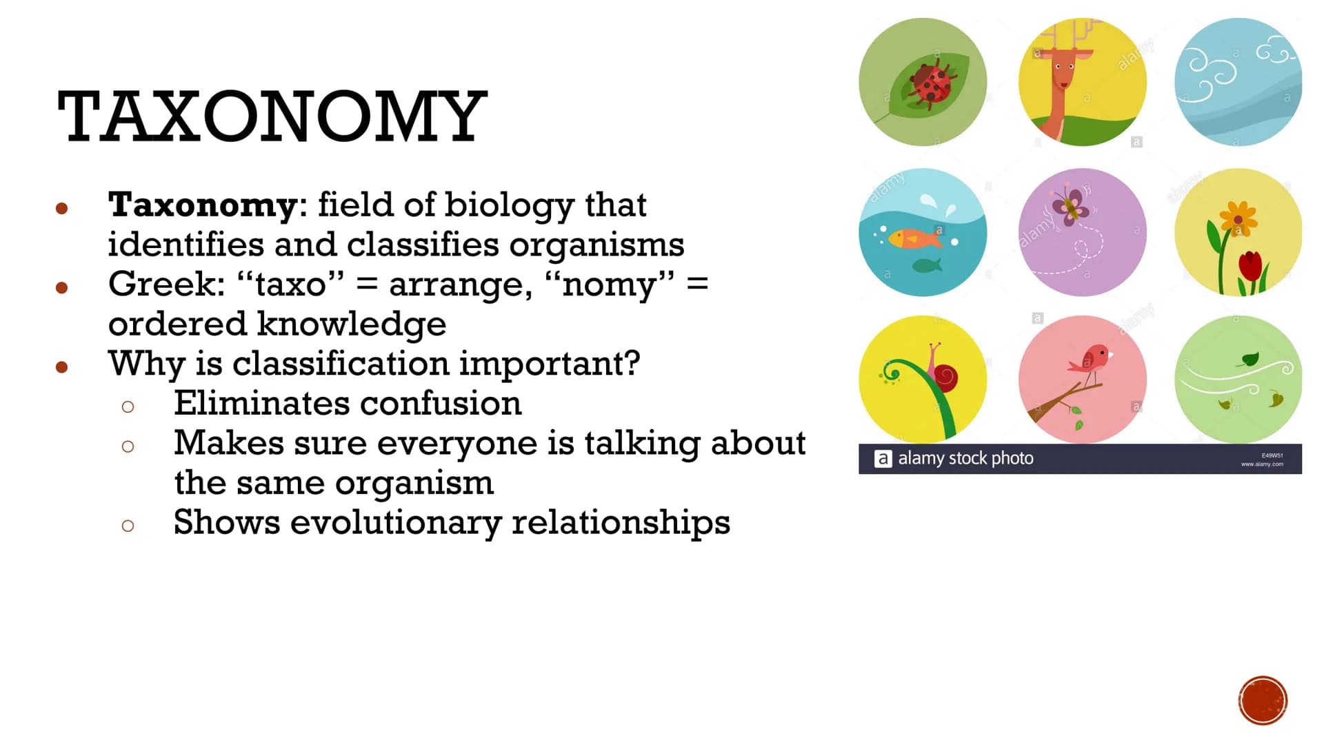 CLASSIFICATION
OF
LIVING THINGS
Biology X TAXONOMY
Taxonomy: field of biology that
identifies and classifies organisms
Greek: "taxo" = arran
