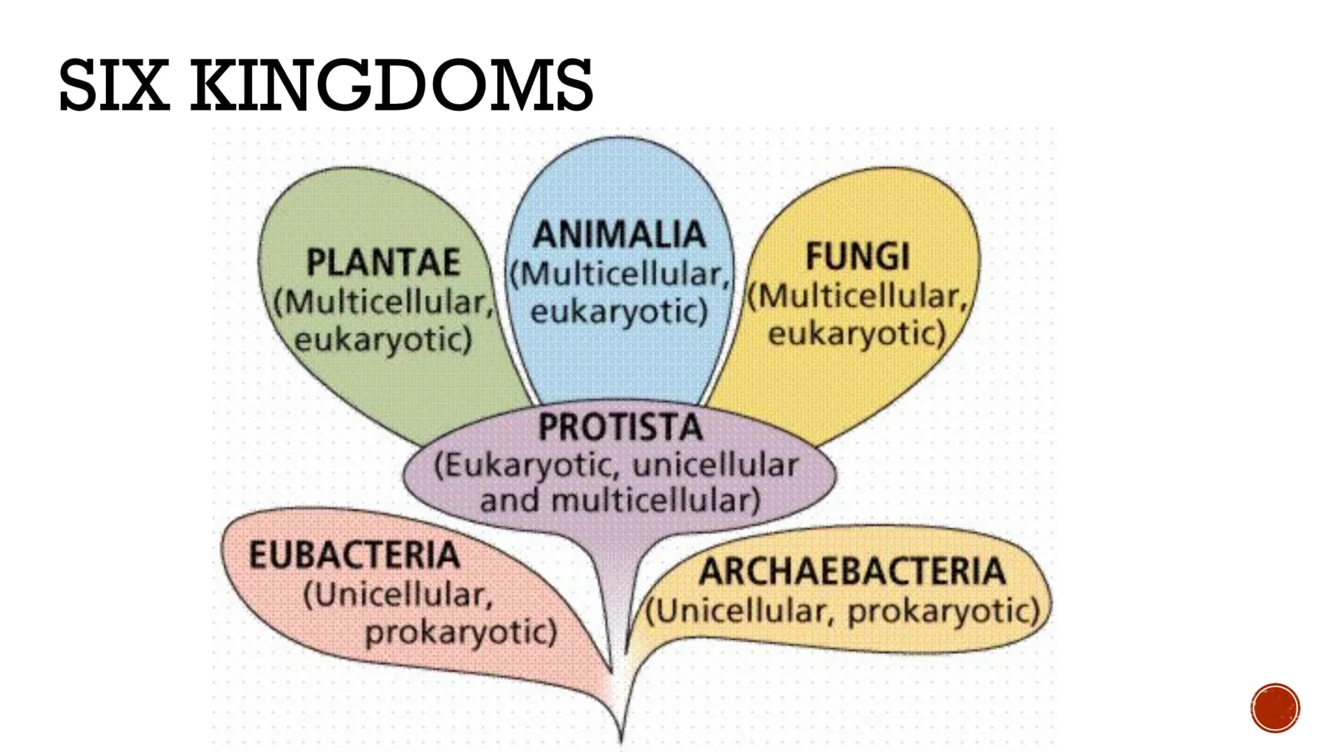CLASSIFICATION
OF
LIVING THINGS
Biology X TAXONOMY
Taxonomy: field of biology that
identifies and classifies organisms
Greek: "taxo" = arran