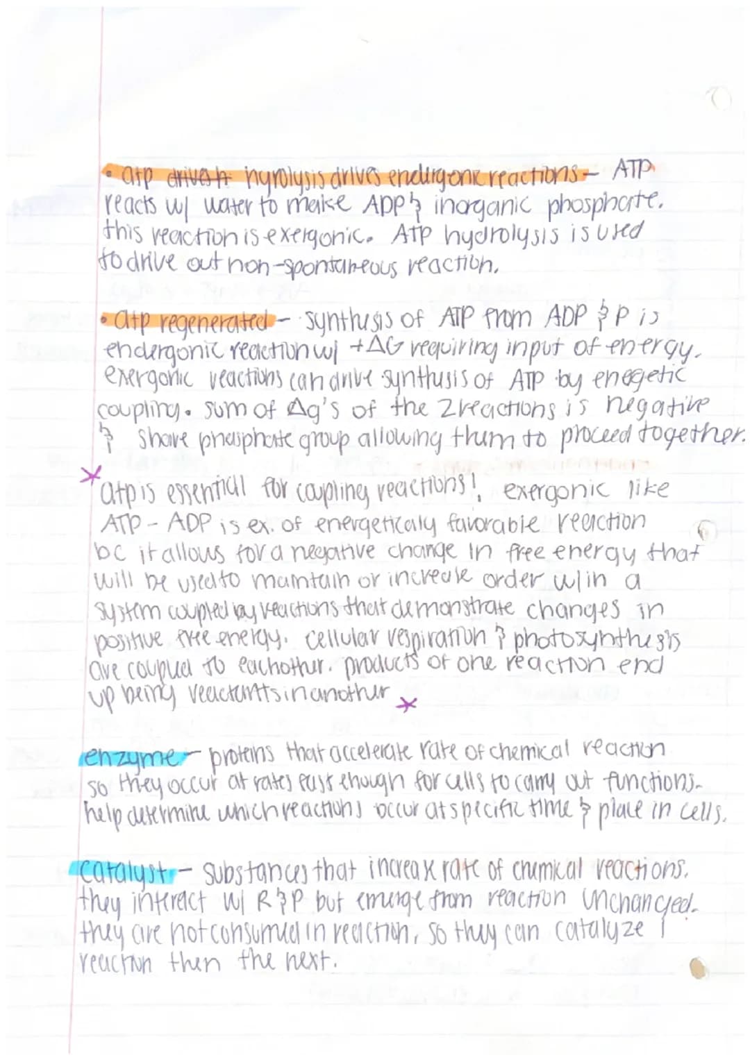 unit 3: cellular energetics
metabolic pathway - series of chemical reactions in
which molecules are broken down or built up
ex reaction that