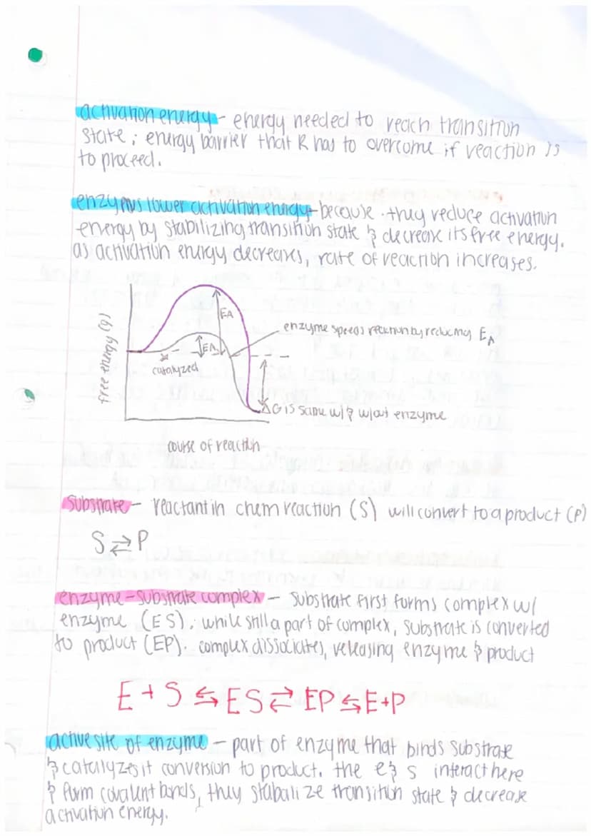 unit 3: cellular energetics
metabolic pathway - series of chemical reactions in
which molecules are broken down or built up
ex reaction that