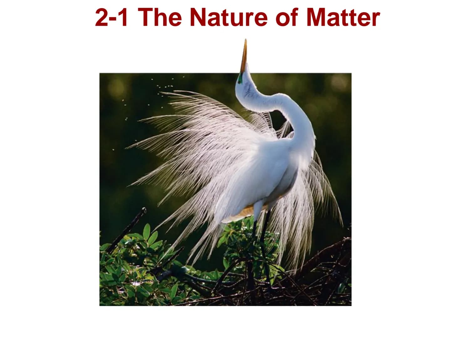 2-1 The Nature of Matter 2-1 The Nature of Matter
Atoms
Atoms
The study of chemistry begins with the basic unit of
matter, the atom.
1 fm
Sl