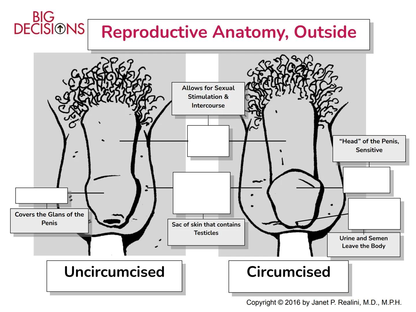 Making Healthy,
Informed Choices
about Sex
BIGL
DECISIONS
Slide Presentation for Classroom Use
Copyright © 2016 Janet P. Realini, MD, MPH BI
