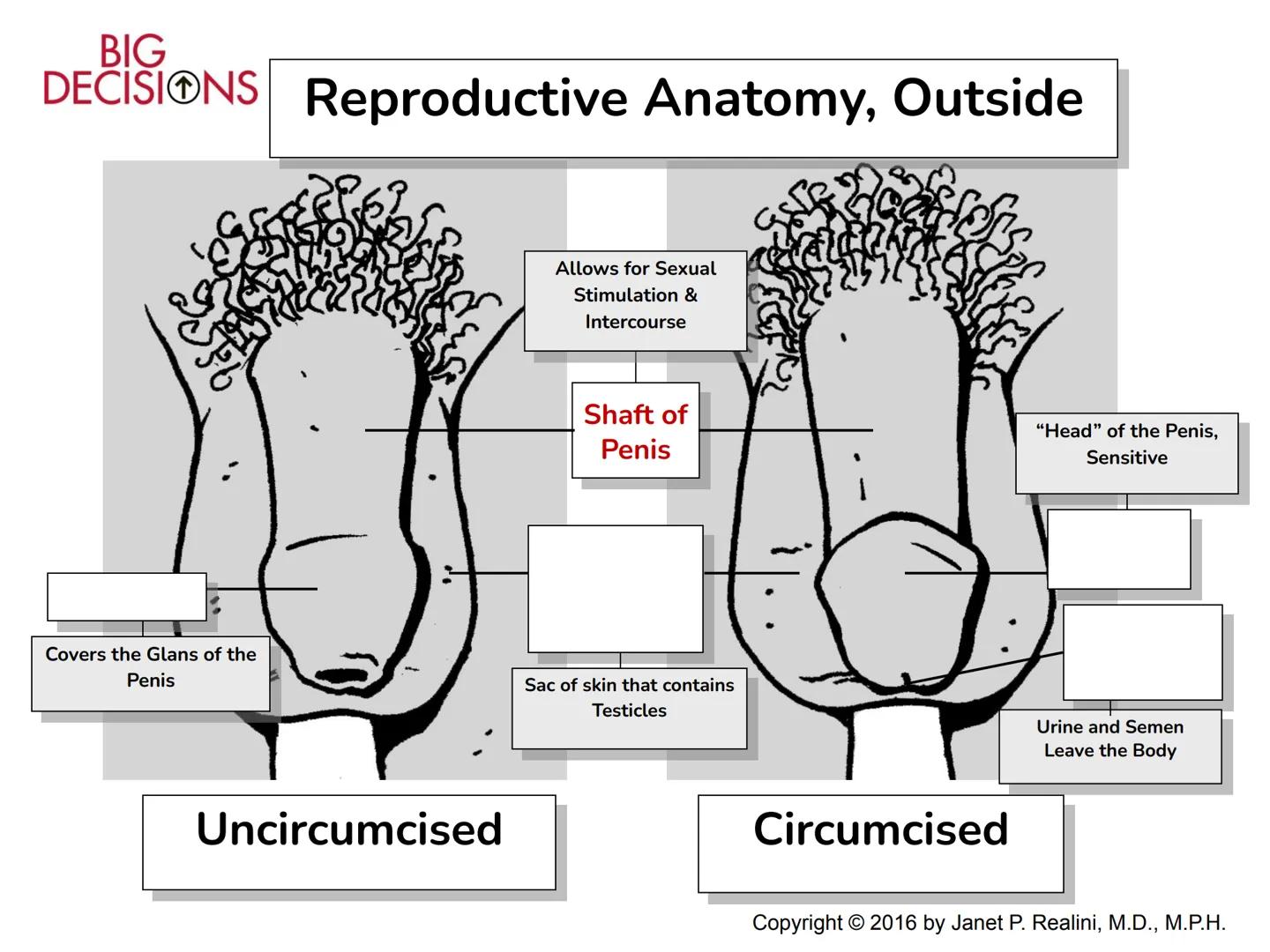 Making Healthy,
Informed Choices
about Sex
BIGL
DECISIONS
Slide Presentation for Classroom Use
Copyright © 2016 Janet P. Realini, MD, MPH BI
