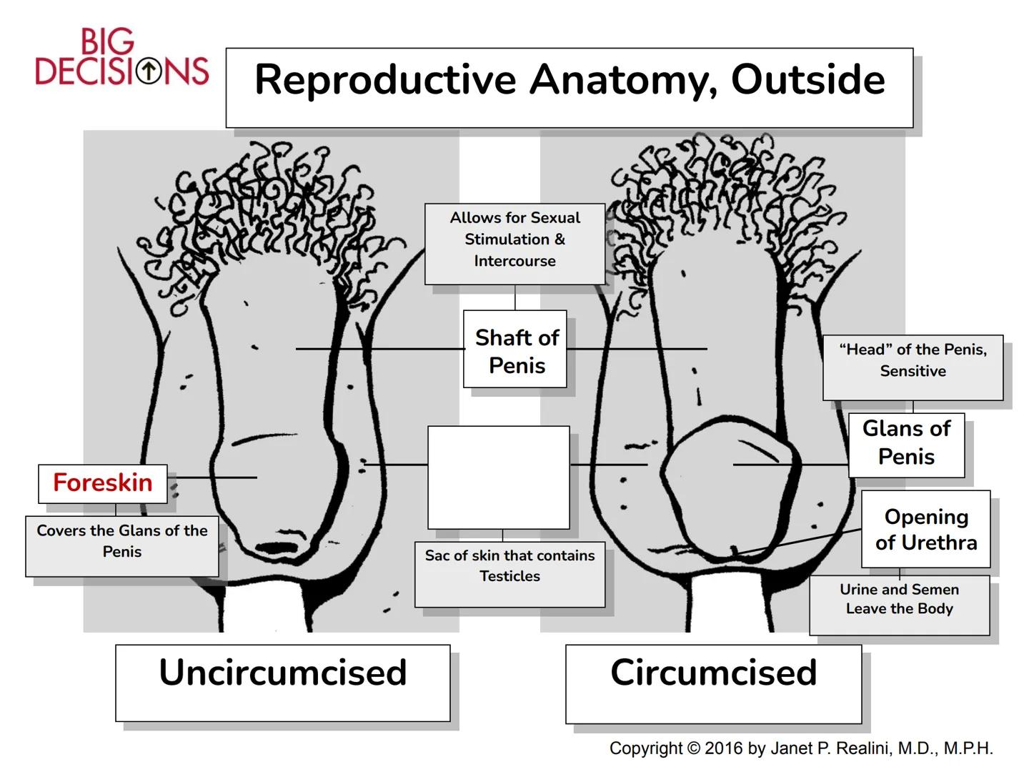 Making Healthy,
Informed Choices
about Sex
BIGL
DECISIONS
Slide Presentation for Classroom Use
Copyright © 2016 Janet P. Realini, MD, MPH BI