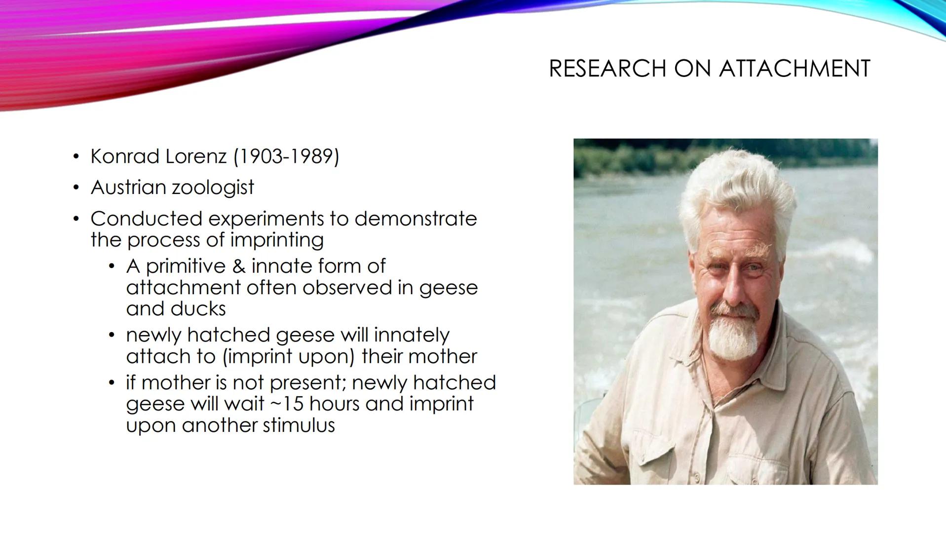 ●
The social development of children
normally begins with attachment
SOCIAL DEVELOPMENT OF CHILDREN
• the emotional and social relationship 