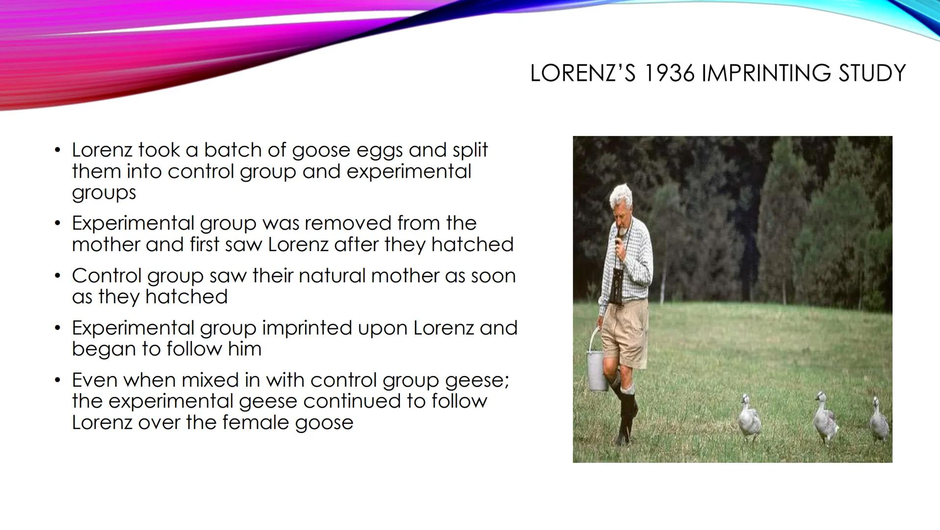 ●
The social development of children
normally begins with attachment
SOCIAL DEVELOPMENT OF CHILDREN
• the emotional and social relationship 