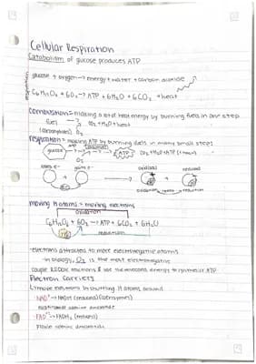Know AP bio unit 3 notes on glycolysis and cellular respiration!  thumbnail