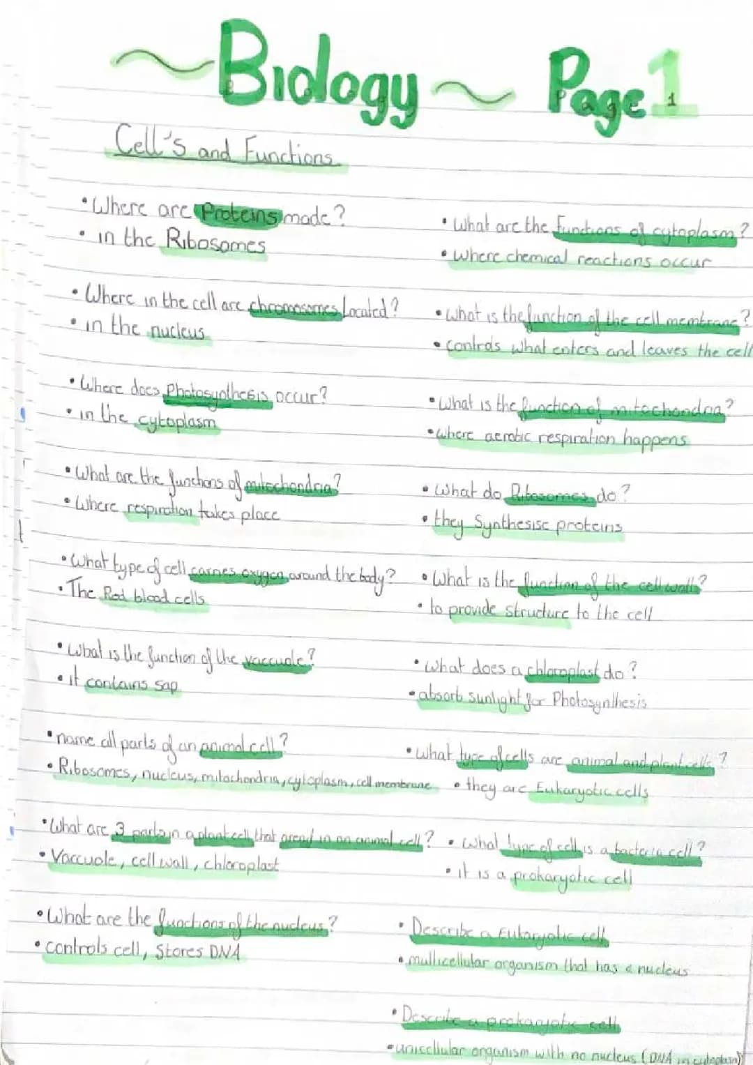 Cell Organelles and Their Cool Functions for Class 9 Kids - PDF Guide