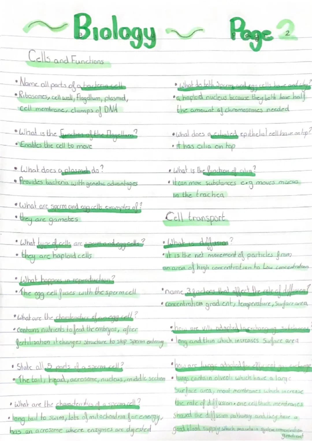 ●
-Biology~~ Page
●
Cell's and Functions
Where are Proteins made?
in the Ribosomes
Where in the cell are chromosomes Located?
• in the nucle