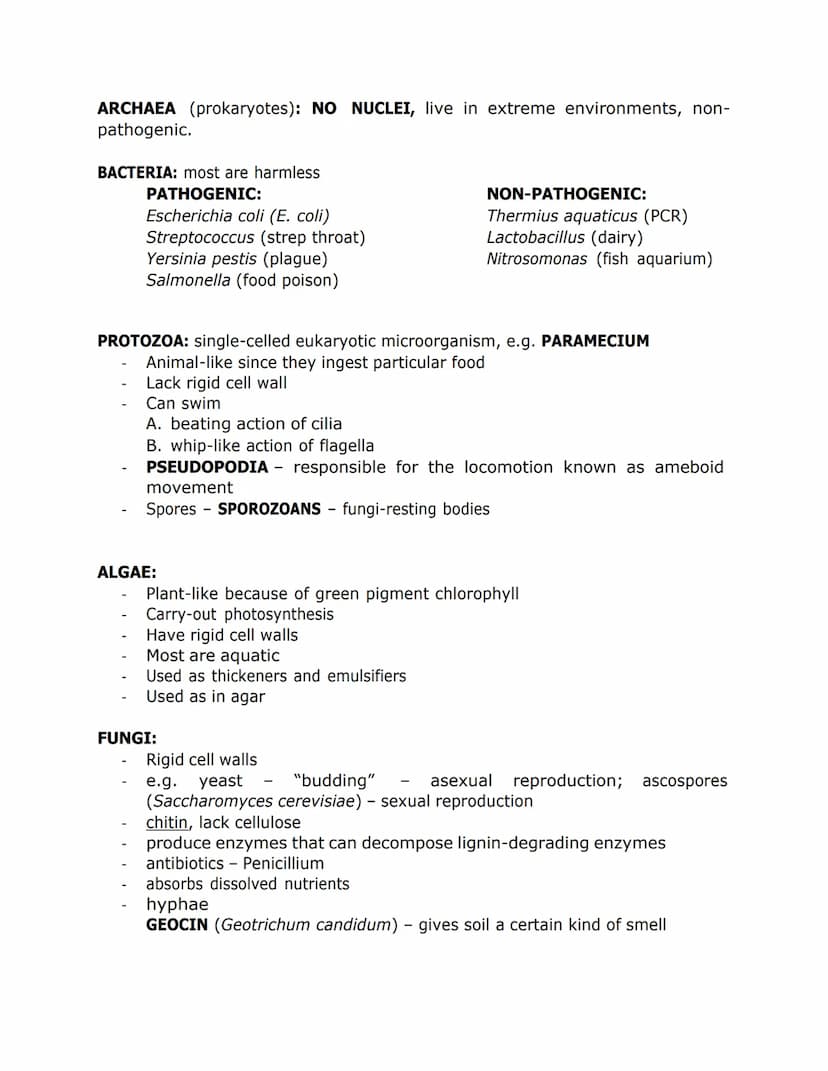 MICROBIOLOGY
"mikros" - small, "bios" - life, "logos" - science
The field of science that studies microorganisms
MICROORGANISMS - can be euk