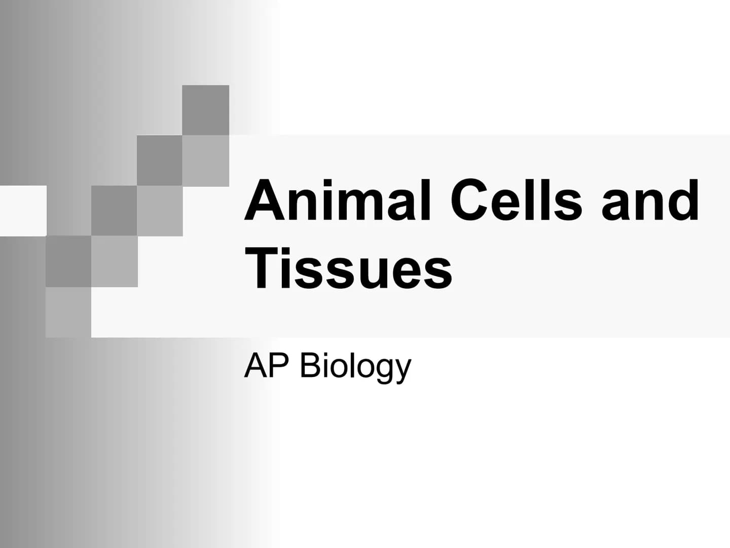 Animal Cells and
Tissues
AP Biology Animal Cells and Tissues
Four tissue types:
Epithelial
Connective
Muscle
Nervous Cells, Tissues and Orga