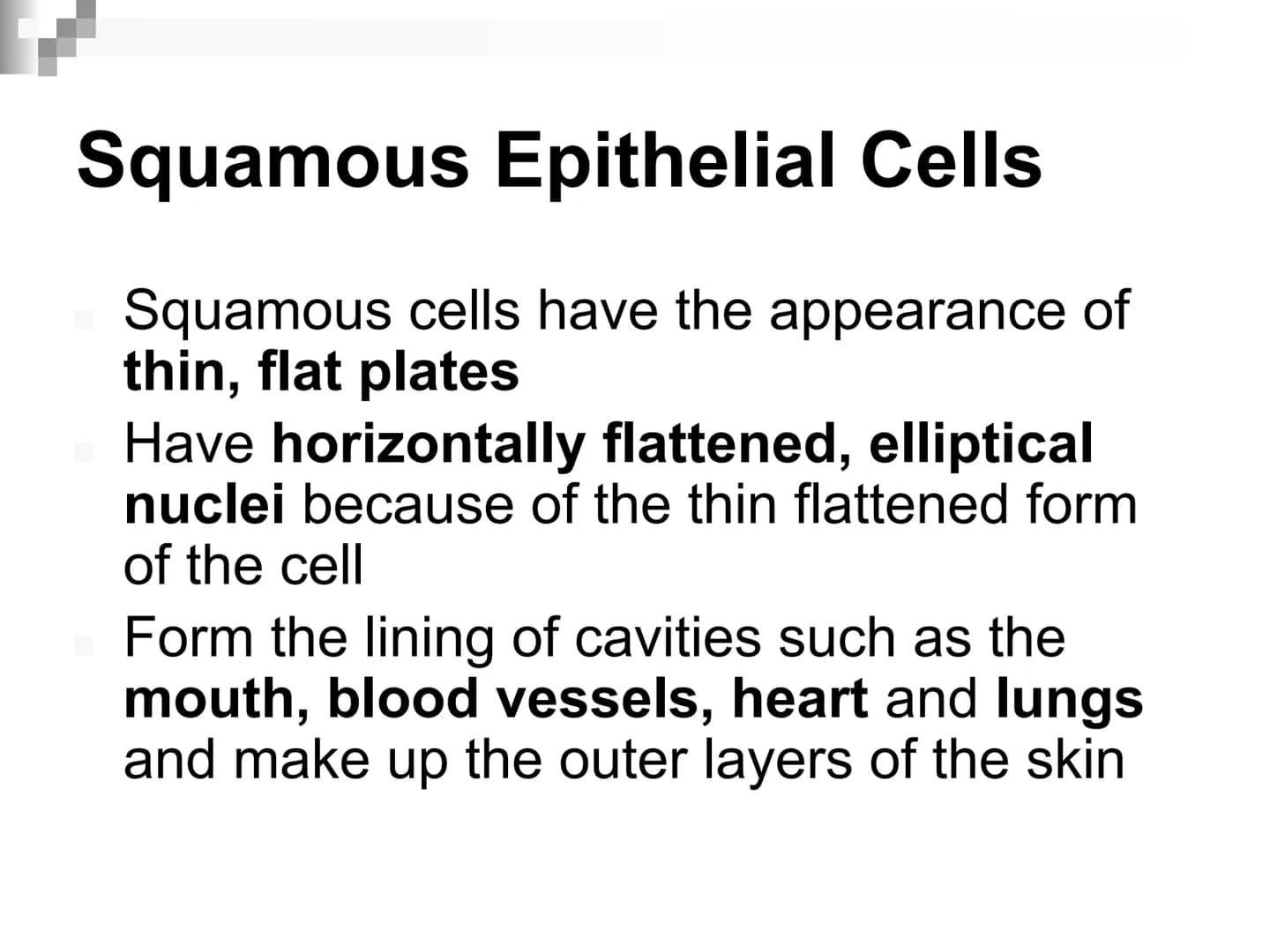 Animal Cells and
Tissues
AP Biology Animal Cells and Tissues
Four tissue types:
Epithelial
Connective
Muscle
Nervous Cells, Tissues and Orga