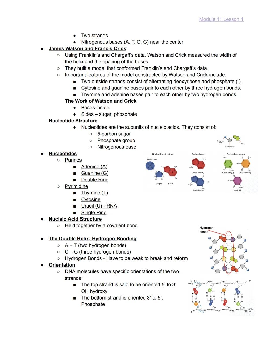 
<h2 id="module10lesson1">Module 10 Lesson 1</h2>
<p>The lesson covers the basics of Mendelian Genetics and introduces Gregor Mendel, known 