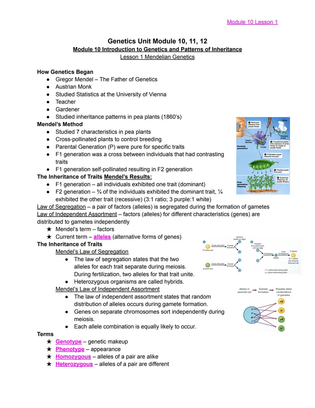 
<h2 id="module10lesson1">Module 10 Lesson 1</h2>
<p>The lesson covers the basics of Mendelian Genetics and introduces Gregor Mendel, known 