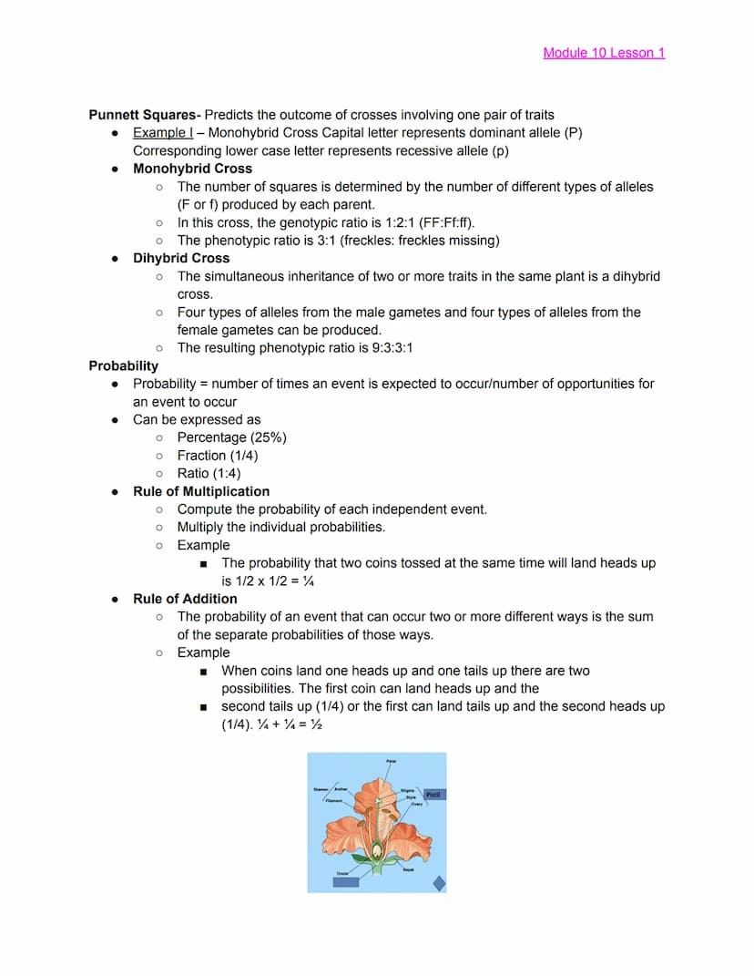 
<h2 id="module10lesson1">Module 10 Lesson 1</h2>
<p>The lesson covers the basics of Mendelian Genetics and introduces Gregor Mendel, known 