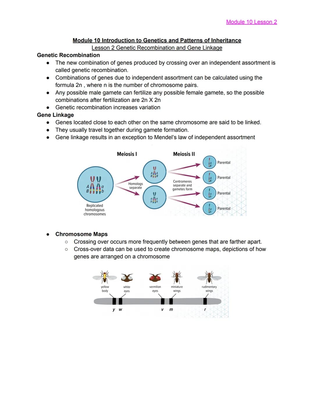 
<h2 id="module10lesson1">Module 10 Lesson 1</h2>
<p>The lesson covers the basics of Mendelian Genetics and introduces Gregor Mendel, known 