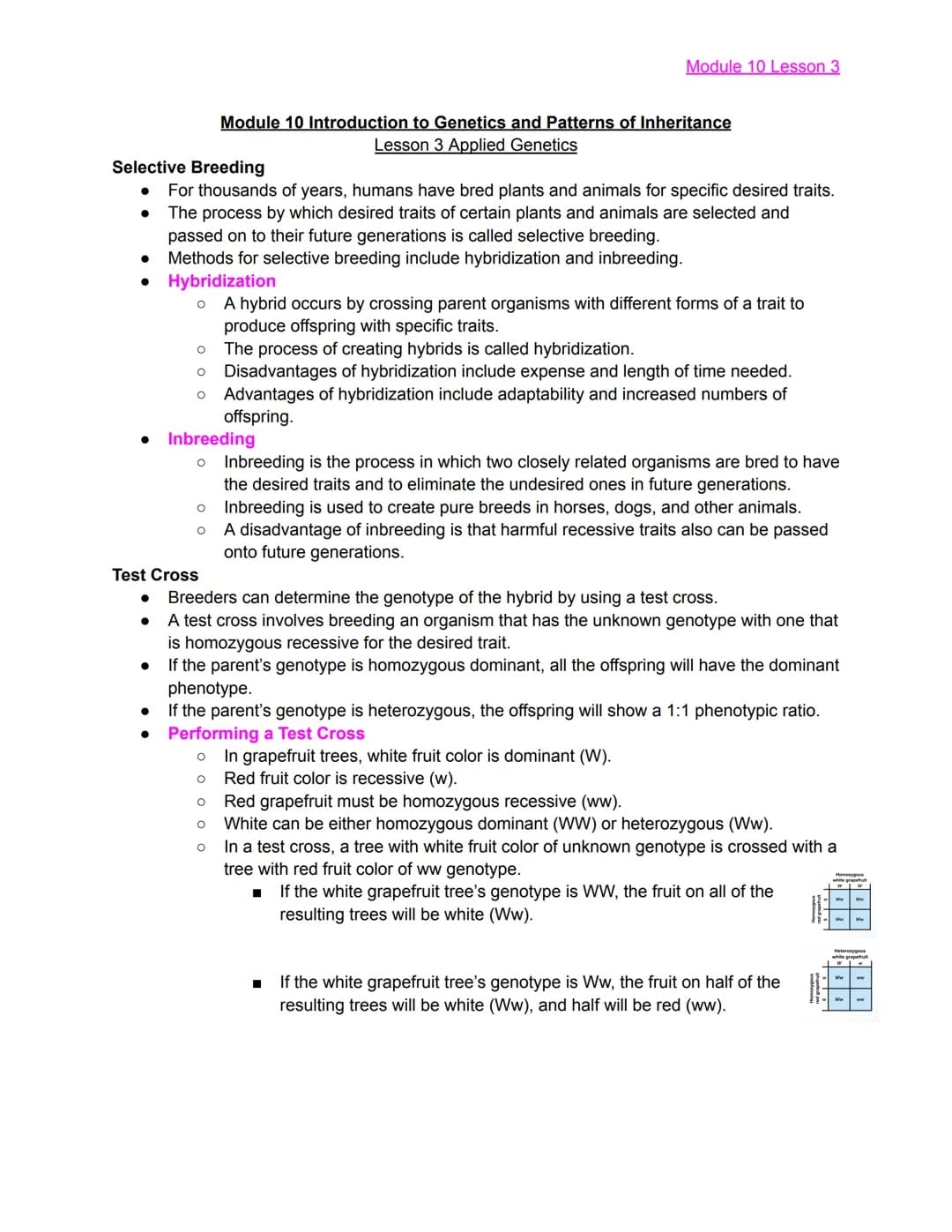 
<h2 id="module10lesson1">Module 10 Lesson 1</h2>
<p>The lesson covers the basics of Mendelian Genetics and introduces Gregor Mendel, known 