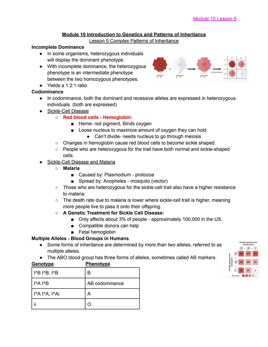 
<h2 id="module10lesson1">Module 10 Lesson 1</h2>
<p>The lesson covers the basics of Mendelian Genetics and introduces Gregor Mendel, known 