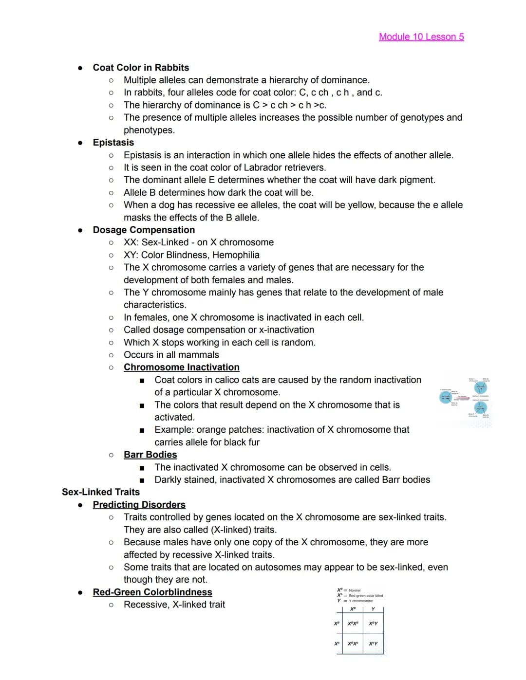 
<h2 id="module10lesson1">Module 10 Lesson 1</h2>
<p>The lesson covers the basics of Mendelian Genetics and introduces Gregor Mendel, known 