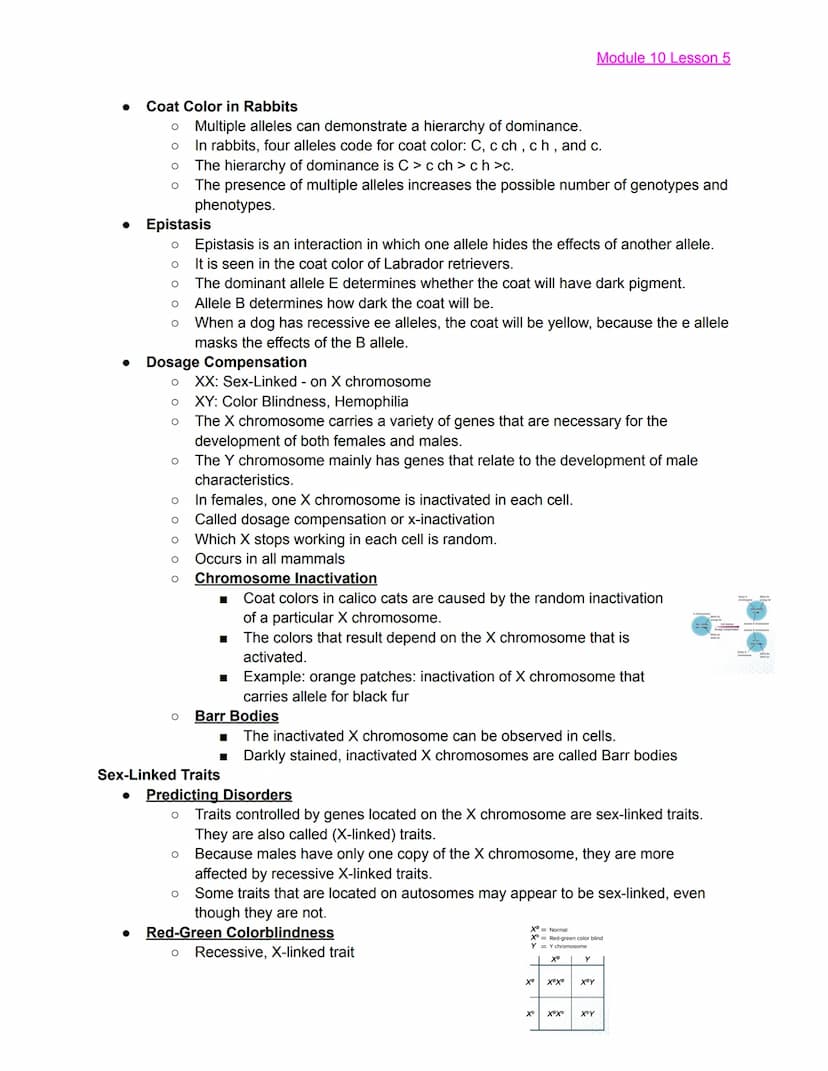 
<h2 id="module10lesson1">Module 10 Lesson 1</h2>
<p>The lesson covers the basics of Mendelian Genetics and introduces Gregor Mendel, known 