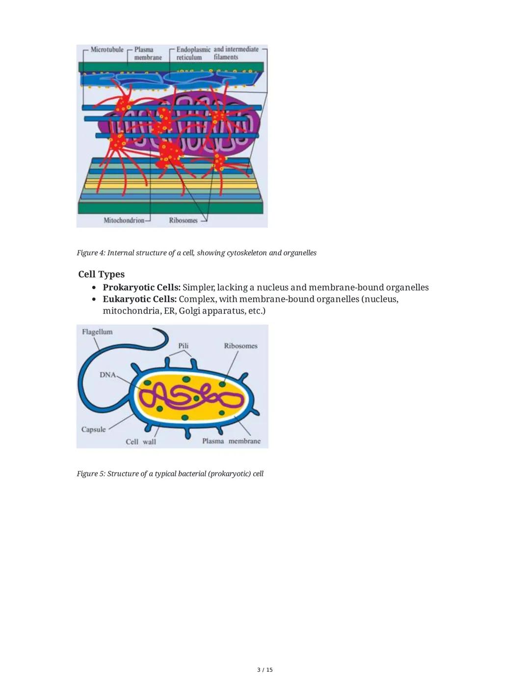 Biology: The Basic Principles
1. Introduction to Biology and the Scientific Method
Biology is the study of life, characterized by metabolism