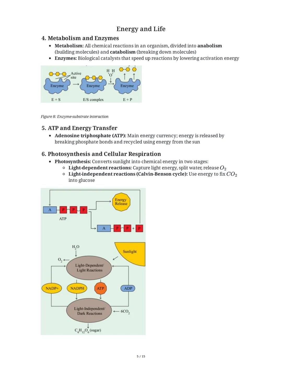 Biology: The Basic Principles
1. Introduction to Biology and the Scientific Method
Biology is the study of life, characterized by metabolism