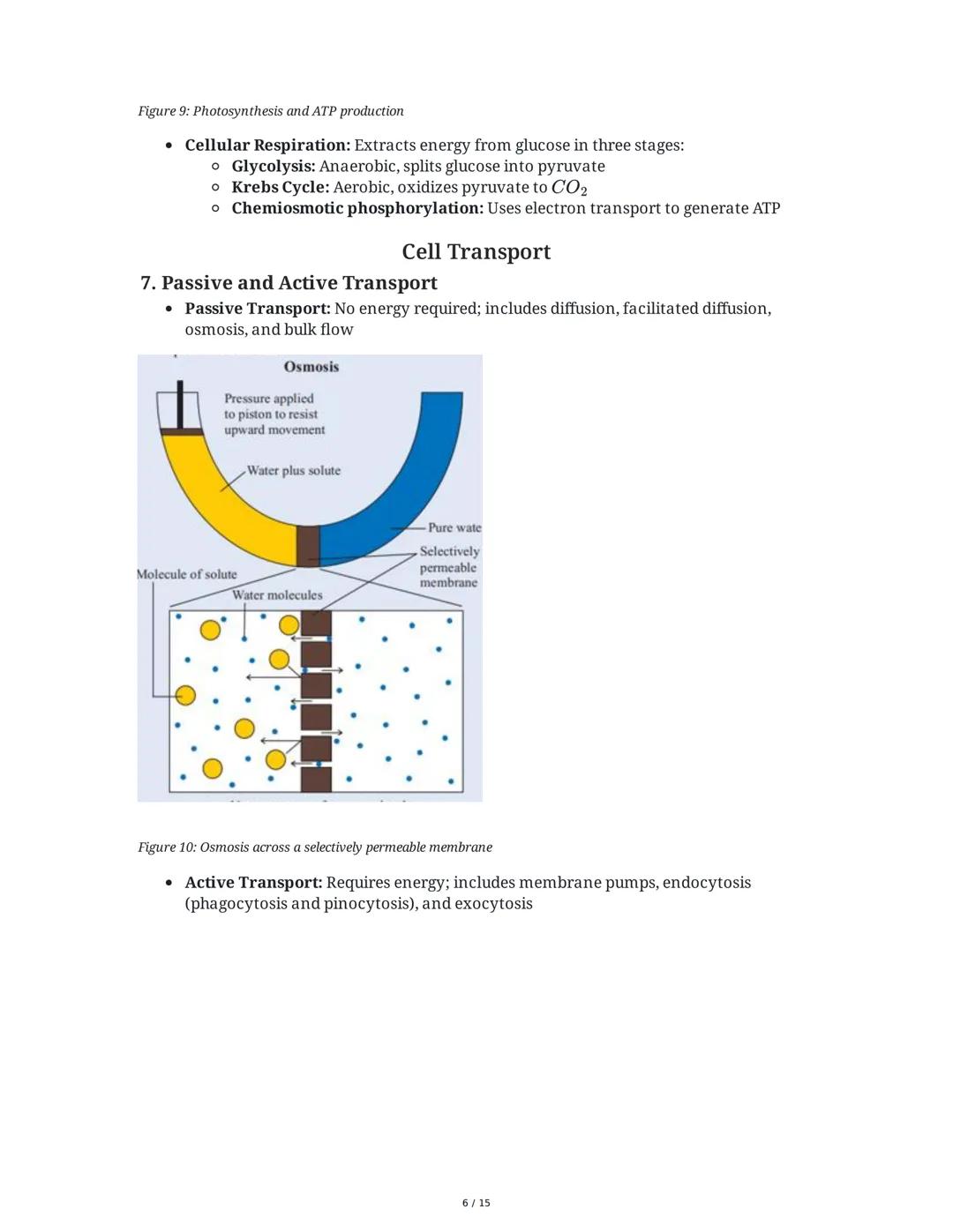 Biology: The Basic Principles
1. Introduction to Biology and the Scientific Method
Biology is the study of life, characterized by metabolism
