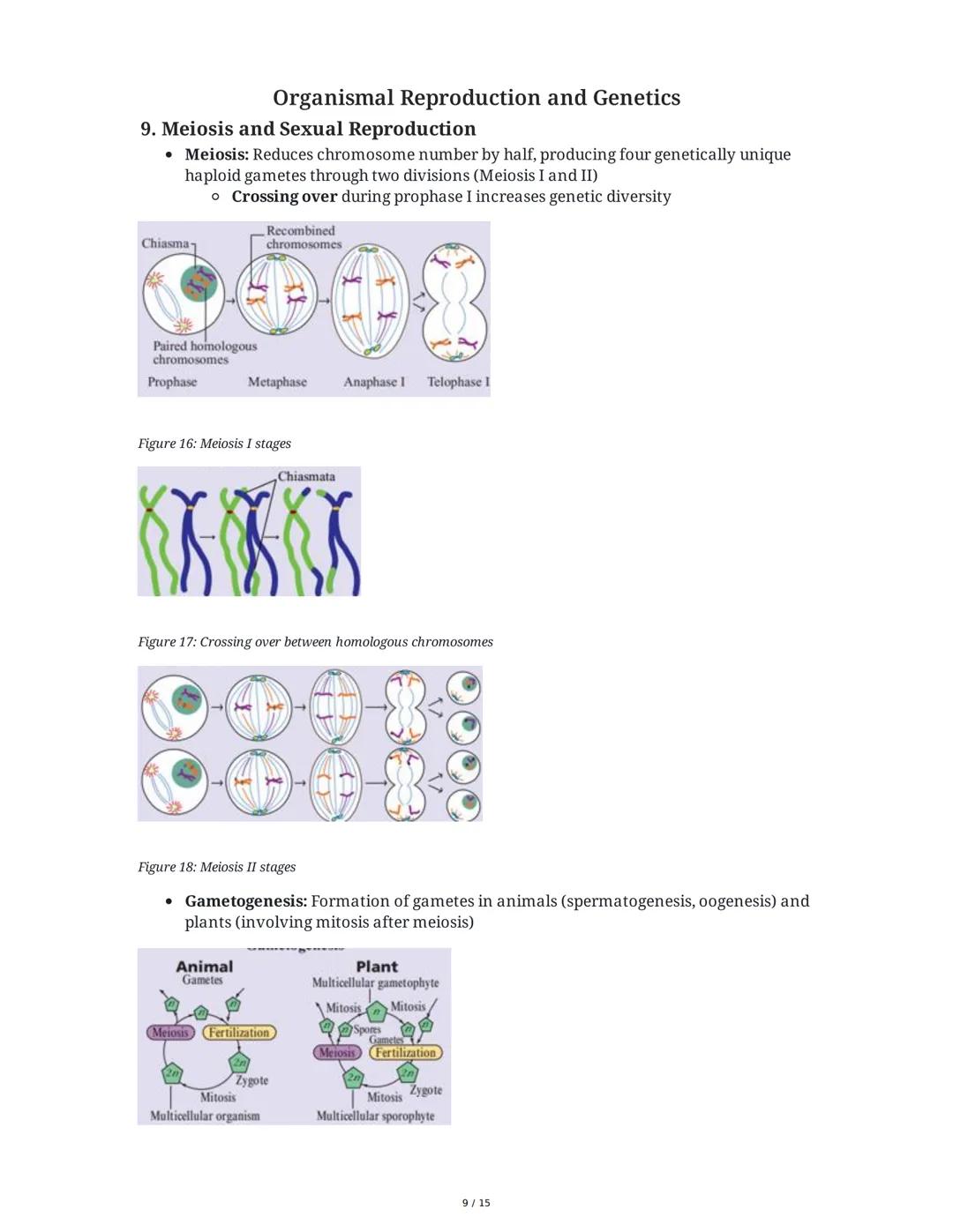 Biology: The Basic Principles
1. Introduction to Biology and the Scientific Method
Biology is the study of life, characterized by metabolism