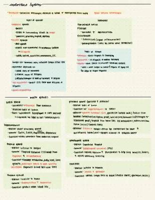 Know Anatomy - Endocrine System Hormones thumbnail