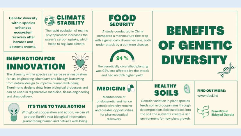 Tuesday, September 12, 2023
• Bellwork: Define the word 'biodiversity' in three words or less
• Case Study: The Benefits of Biodiversity
• R