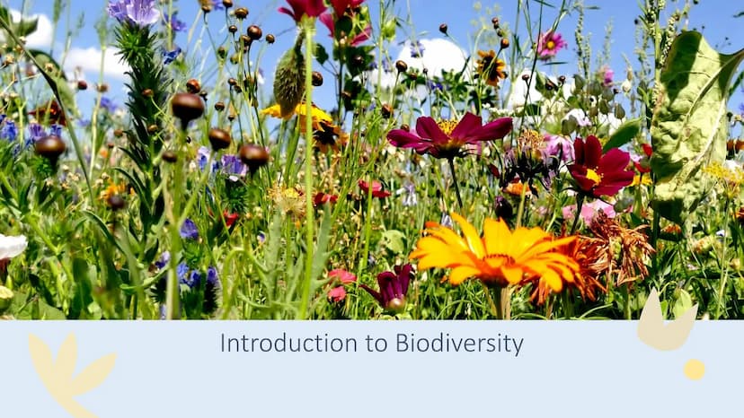 Tuesday, September 12, 2023
• Bellwork: Define the word 'biodiversity' in three words or less
• Case Study: The Benefits of Biodiversity
• R