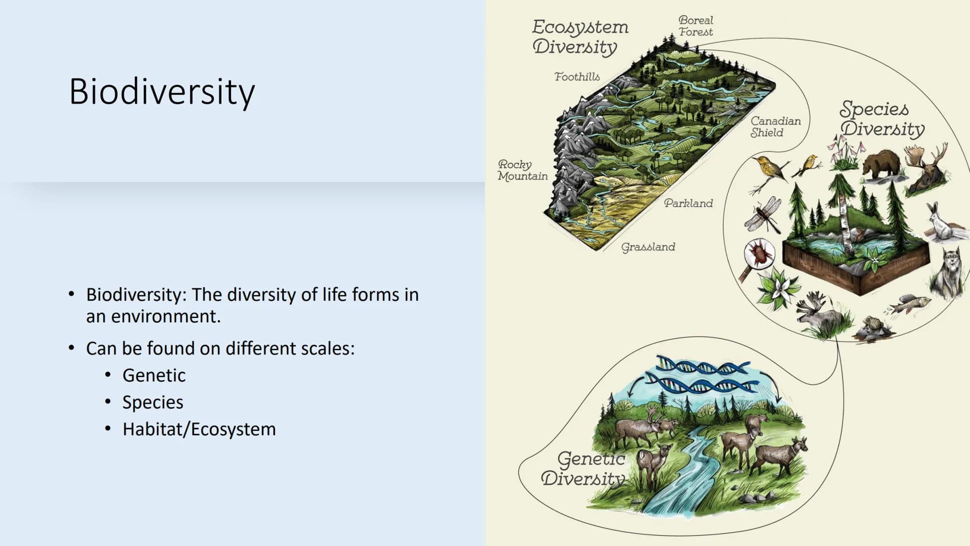 Tuesday, September 12, 2023
• Bellwork: Define the word 'biodiversity' in three words or less
• Case Study: The Benefits of Biodiversity
• R