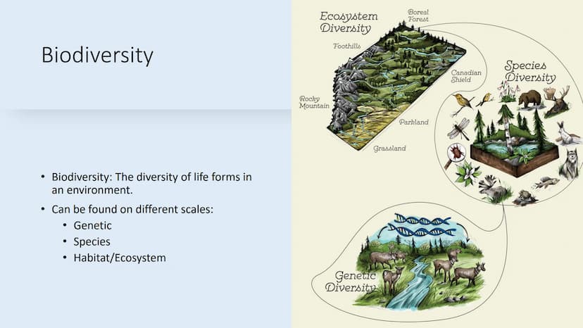 Tuesday, September 12, 2023
• Bellwork: Define the word 'biodiversity' in three words or less
• Case Study: The Benefits of Biodiversity
• R