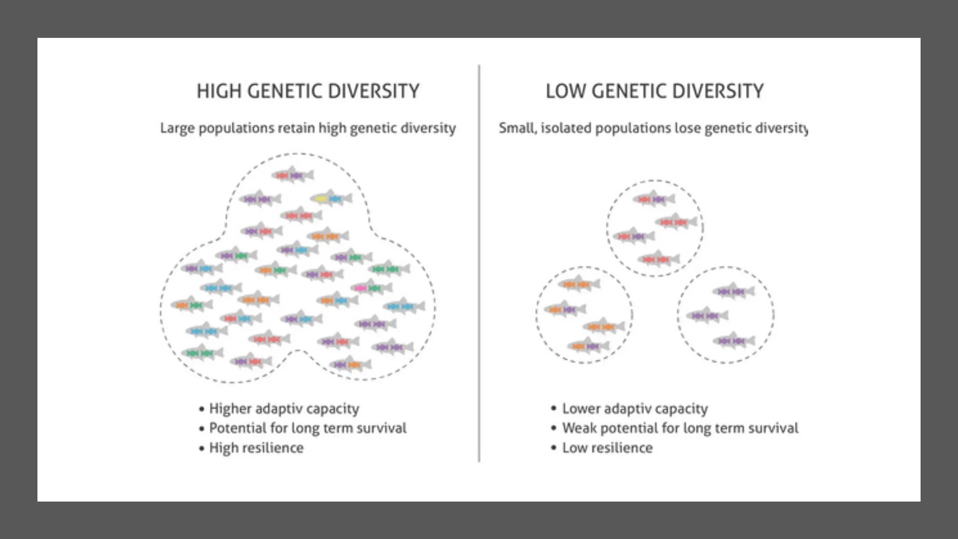 Tuesday, September 12, 2023
• Bellwork: Define the word 'biodiversity' in three words or less
• Case Study: The Benefits of Biodiversity
• R
