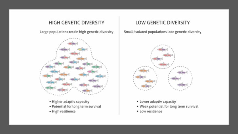 Tuesday, September 12, 2023
• Bellwork: Define the word 'biodiversity' in three words or less
• Case Study: The Benefits of Biodiversity
• R