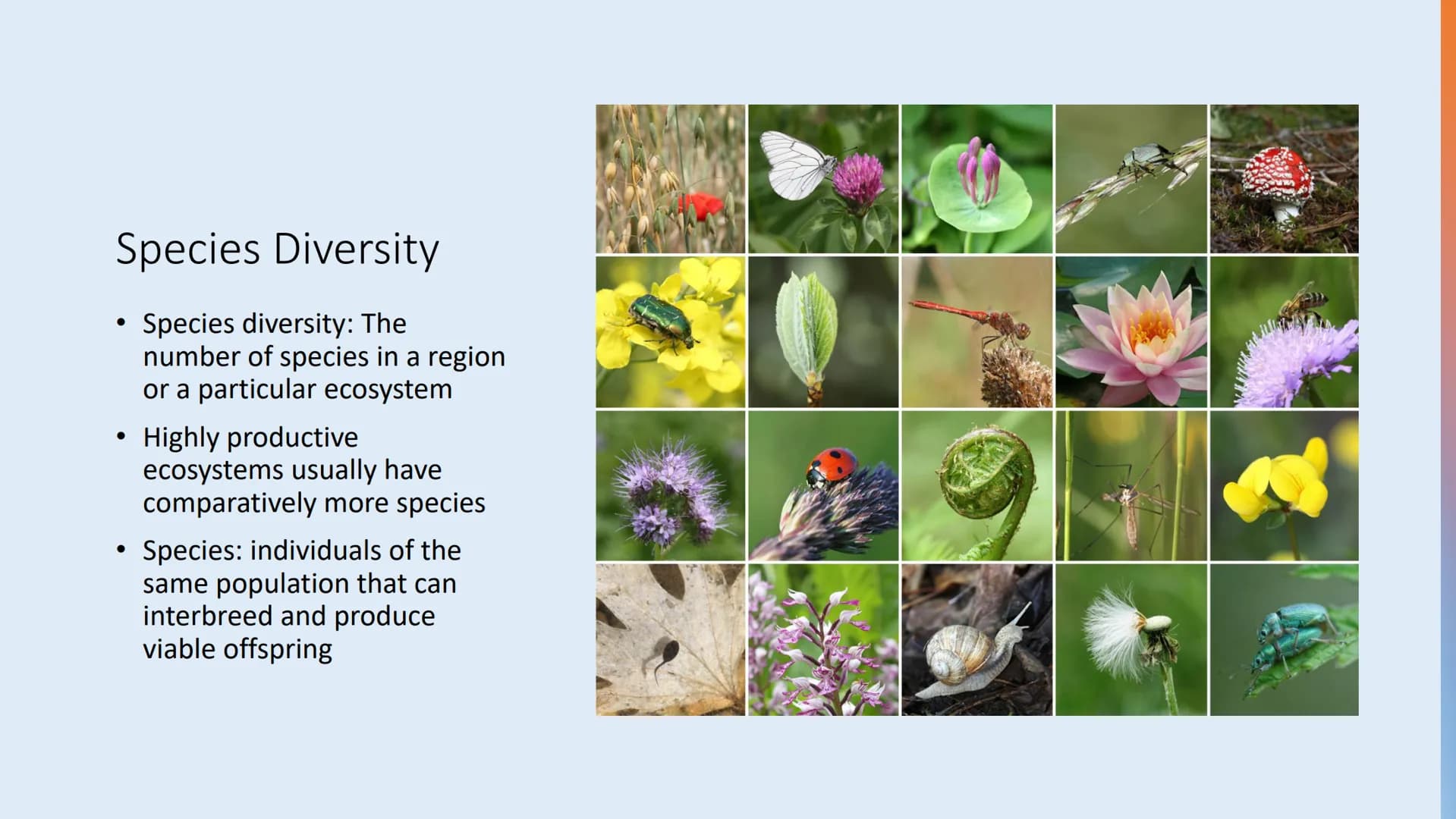 Tuesday, September 12, 2023
• Bellwork: Define the word 'biodiversity' in three words or less
• Case Study: The Benefits of Biodiversity
• R