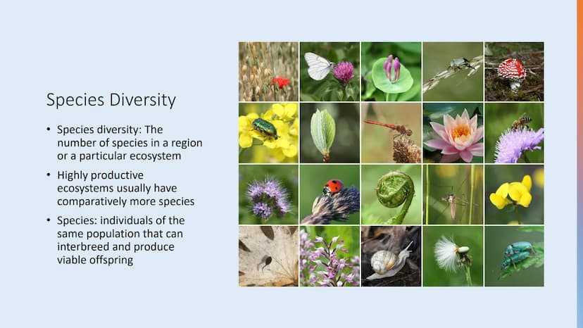 Tuesday, September 12, 2023
• Bellwork: Define the word 'biodiversity' in three words or less
• Case Study: The Benefits of Biodiversity
• R