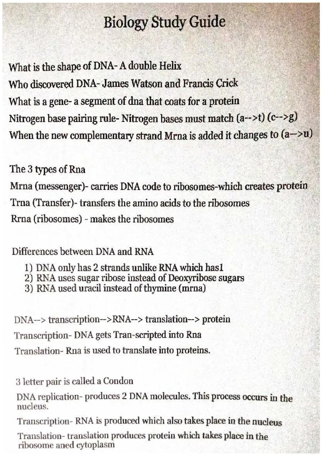 DNA transcription and translation 