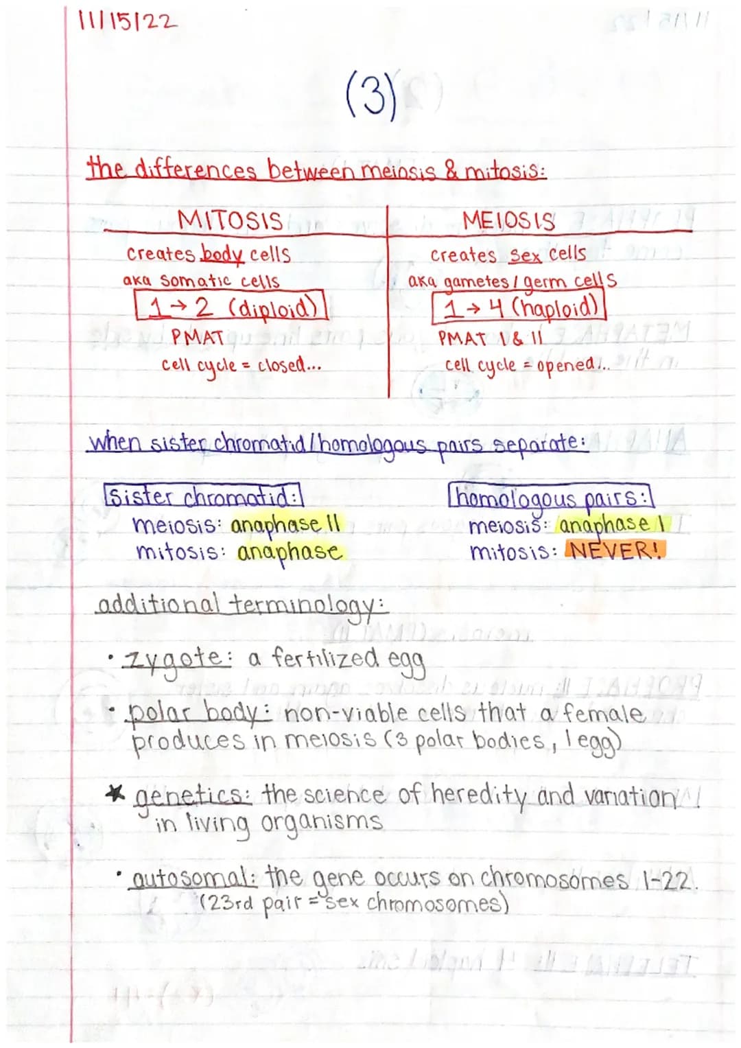 11/15/22
Genetics 1 Study Guide (1)
MITOSIS & MEIOSIS
names of each step: PMAT, PMATI, PMAT II
↳ prophase, metaphase, an aphase, telephase
p