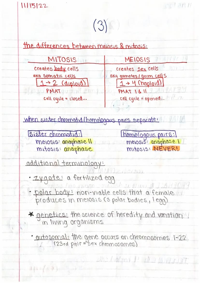 11/15/22
Genetics 1 Study Guide (1)
MITOSIS & MEIOSIS
names of each step: PMAT, PMATI, PMAT II
↳ prophase, metaphase, an aphase, telephase
p